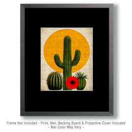 Minimalist Desert Still-Life Art