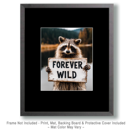 Raccoon Art