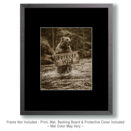 Grizzly Bear Art