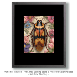 Beautiful Cockroach Art