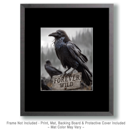 Raven Art