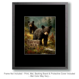A Couple of Black Bear Cubs Art
