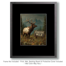 Majestic Bull Moose Art