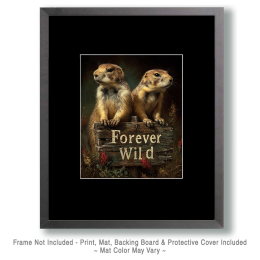 A Pair of Prairie Dogs Art