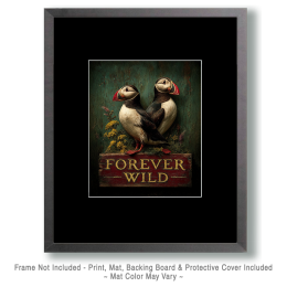 Pair of Puffins Art
