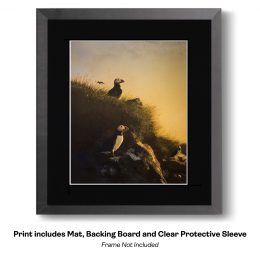 Plucky Peaceful Puffins - Watercolor Dry Brush Puffins 12