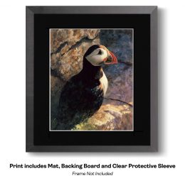 Plucky Peaceful Puffins - Watercolor Dry Brush Puffins 6