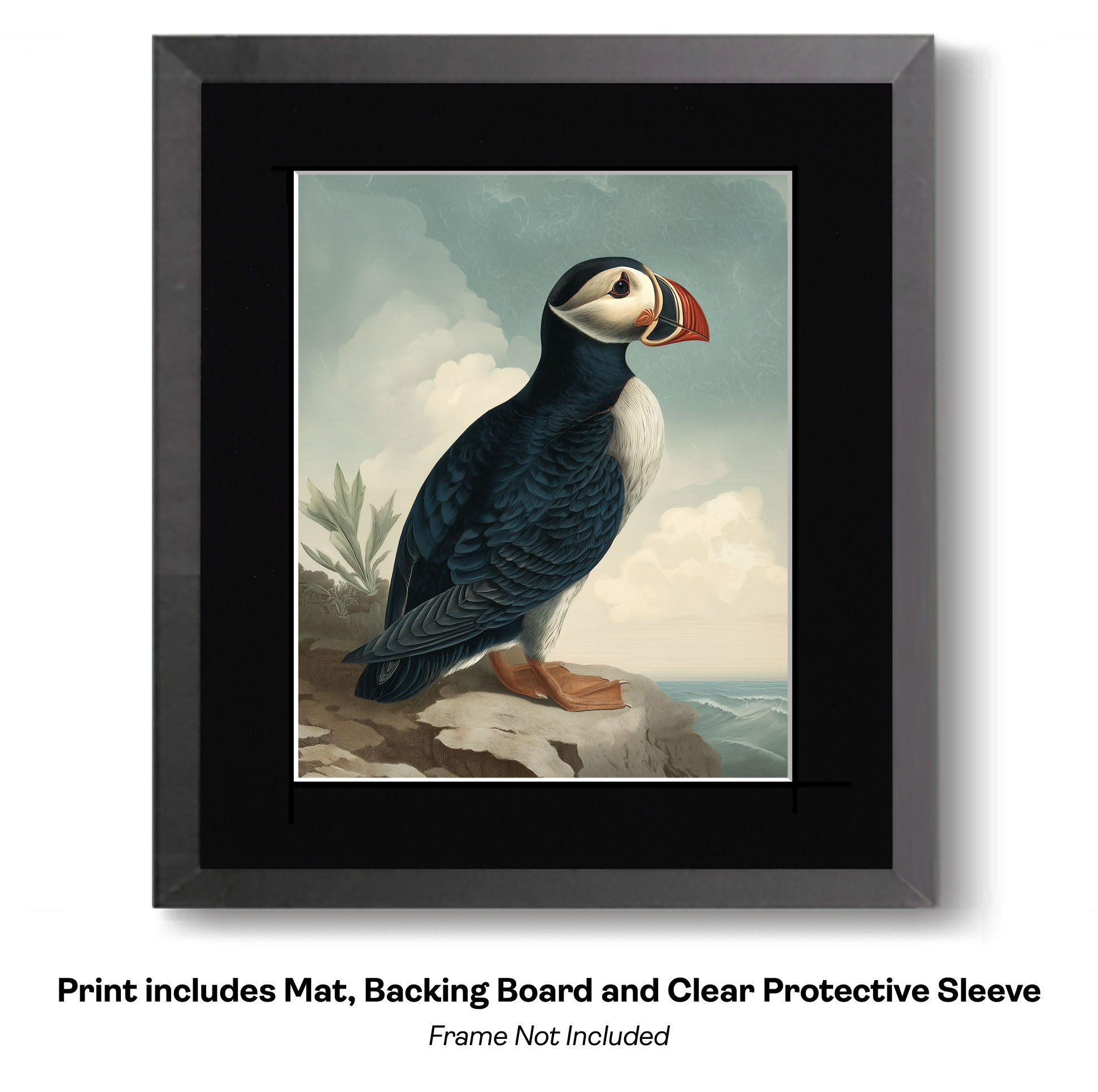 Plucky Puffin Sketch- Study in Watercolor Puffins 7