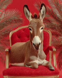 Donkey in Red Chair