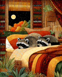Exhausted Raccoons