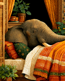 Elephant in Bed
