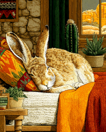 Rabbit Sleeping on Bed
