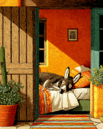 Donkey Sleeping on Bed
