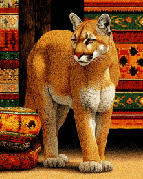 Southwest Market Mountain Lion