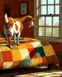 Goat on Bed
