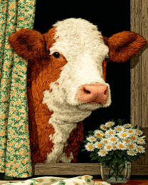 Cow Poking His Head In