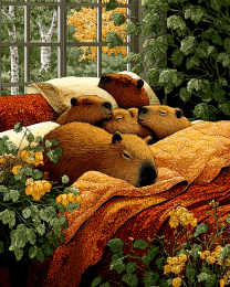 Mom, the All the Capybaras are On My Bed!