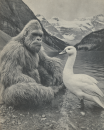 The Goose Won't Talk