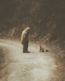 Nice Meetup with Fox Friend