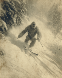 Bigfoot Extreme Skiing