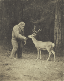 Saying Hi to a Friendly Buck Deer