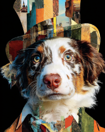 Aussie from Carmel