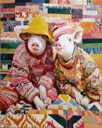 Pig Friends from San Francisco