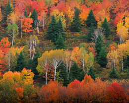 Gorgeous Landscapes - Mother Nature's Paintbrush