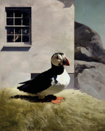 Plucky Peaceful Puffins - Watercolor Dry Brush Puffins 1