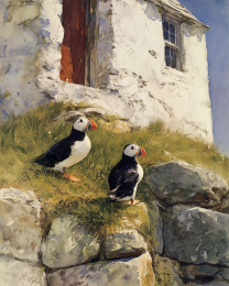 Plucky Peaceful Puffins - Watercolor Dry Brush Puffins 8