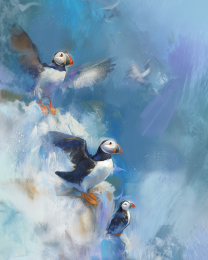 Plucky Realist Puffins - Oil Painting Puffins 1