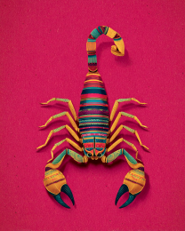 BOHO Scorpion
