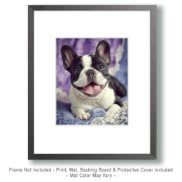 French Bulldog Pup Art