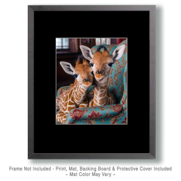 Two Baby Giraffes in a Chair Art
