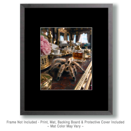 Tarantula on the Dresser Art