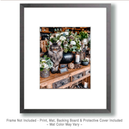Maine Coon Cat on Dresser Art
