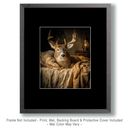 Buck Deer Awakes Art