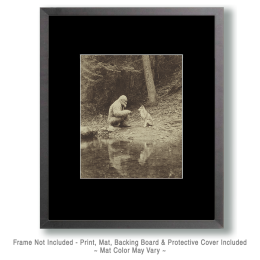 Giving Some Wisdom to a Wolf Art