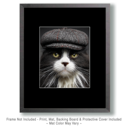 Boston Bob Art