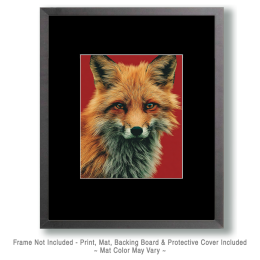 Red Fox Looking at You! Art