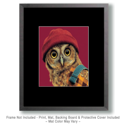 Surprised Owl in a Tuque Art