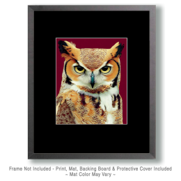 Sly Great Horned Owl Art