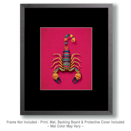 BOHO Scorpion Art