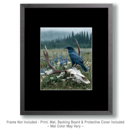 Raven on Deer Skull Art