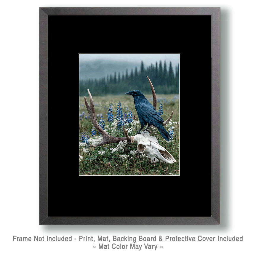 Raven on Deer Skull Art