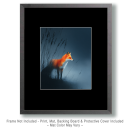 Ethereal Fox Art