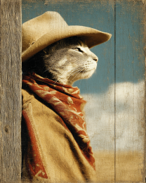 Prescott Polly Looking West