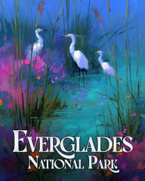 Impressionist Egrets in the Everglades National Park