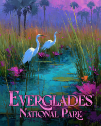 Impressionist Egrets in the Everglades National Park