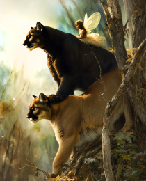 Fairy Riding Cougars